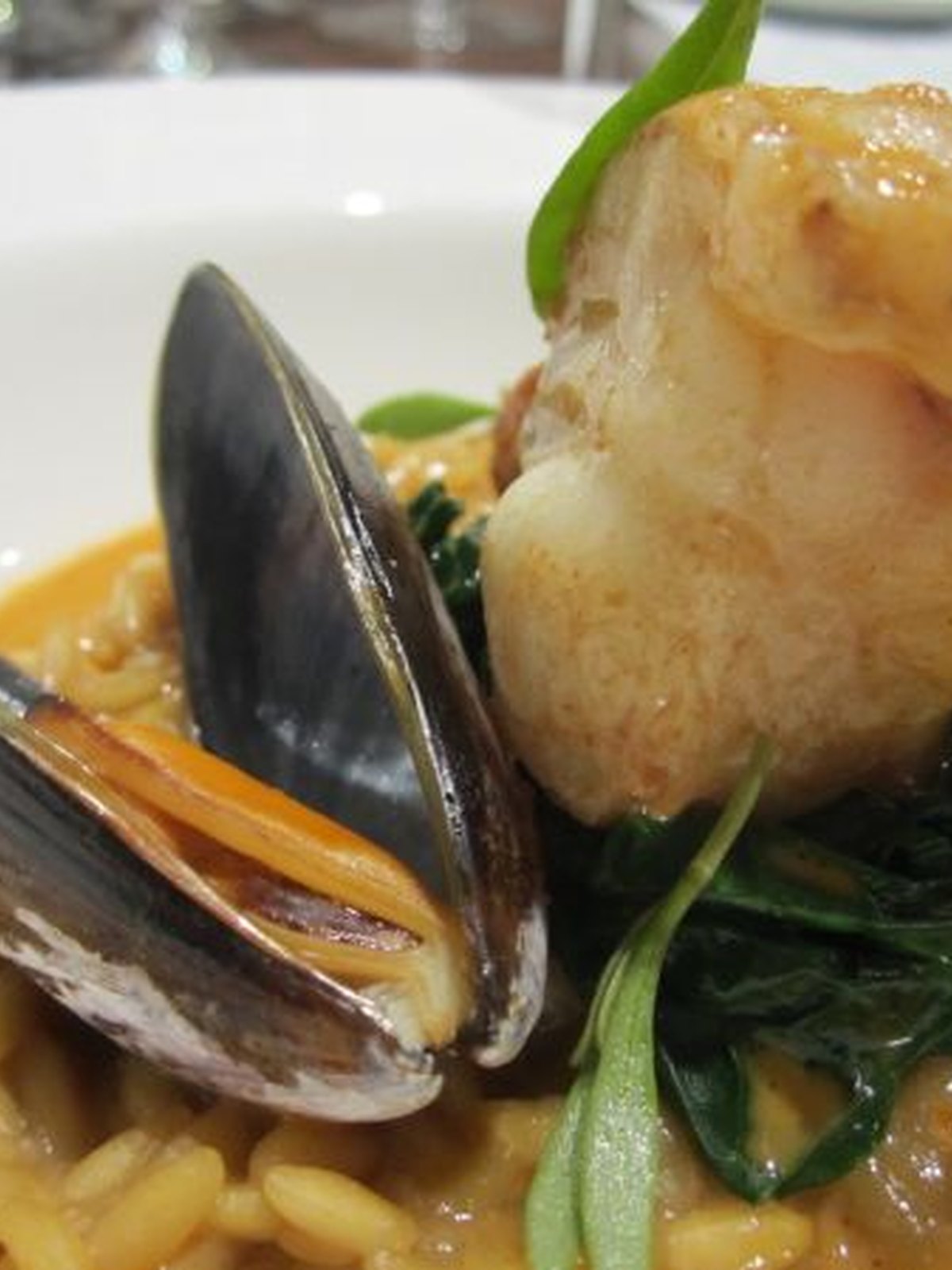 Open mussels nestled in tomato orzo in a deep pot